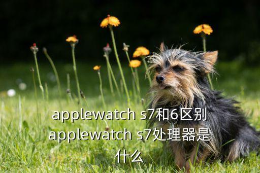 applewatch s7和6區(qū)別applewatch s7處理器是什么