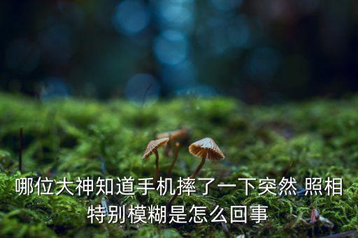 哪位大神知道手機(jī)摔了一下突然 照相特別模糊是怎么回事