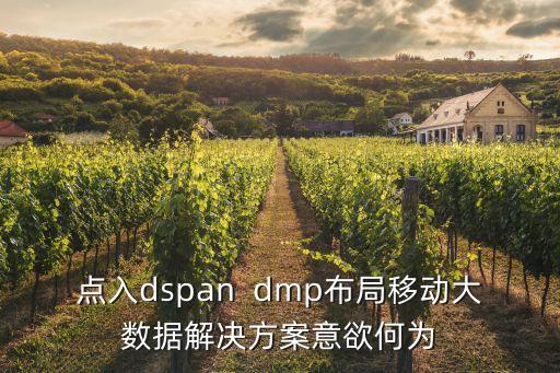 數(shù)據(jù)管理dmp怎么做,開源dmp數(shù)據(jù)管理平臺(tái)