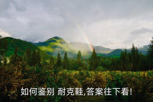 耐克 專賣店 機(jī)器人 柔軟度