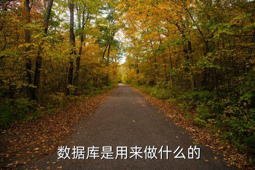  數(shù)據(jù)庫是用來做什么的