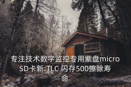 專注技術(shù)數(shù)字監(jiān)控專用紫盤microSD卡新:TLC 閃存500擦除壽命