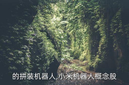 小米的拼裝機(jī)器人,小米機(jī)器人概念股
