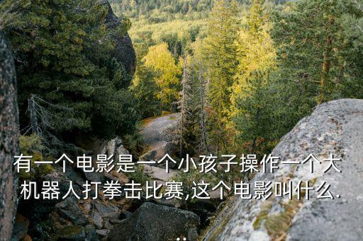 有一個(gè)電影是一個(gè)小孩子操作一個(gè)大 機(jī)器人打拳擊比賽,這個(gè)電影叫什么...