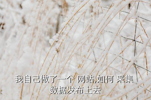 我自己做了一個(gè) 網(wǎng)站,如何 采集 數(shù)據(jù)發(fā)布上去