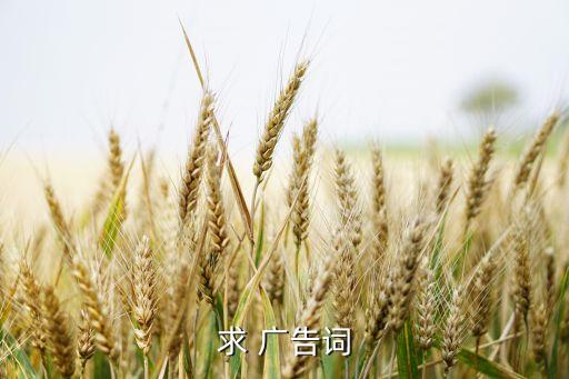 求 廣告詞