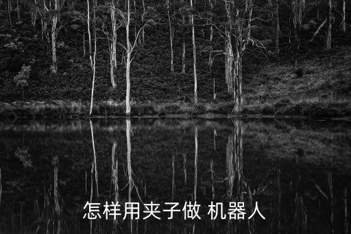 怎樣用夾子做 機器人