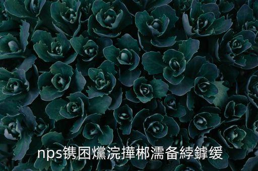  nps鐫囨爣浣撶郴濡備綍鎼緩