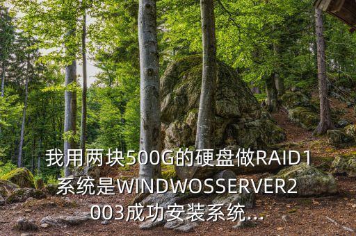 我用兩塊500G的硬盤做RAID1系統(tǒng)是WINDWOSSERVER2003成功安裝系統(tǒng)...
