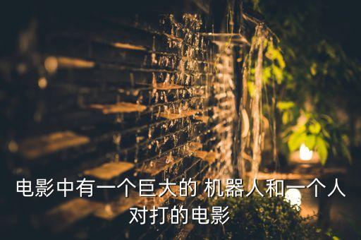 電影中有一個(gè)巨大的 機(jī)器人和一個(gè)人對(duì)打的電影