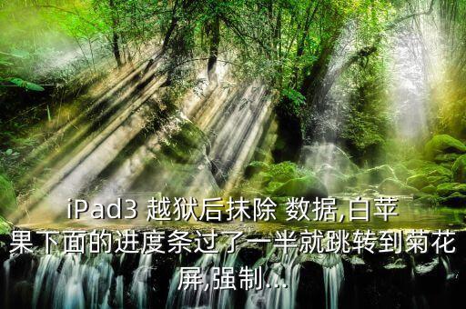 iPad3 越獄后抹除 數(shù)據(jù),白蘋(píng)果下面的進(jìn)度條過(guò)了一半就跳轉(zhuǎn)到菊花屏,強(qiáng)制...