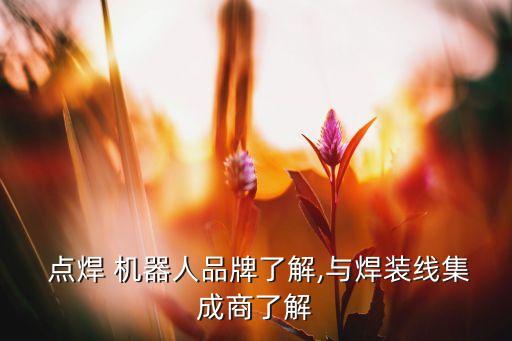  點(diǎn)焊 機(jī)器人品牌了解,與焊裝線集成商了解