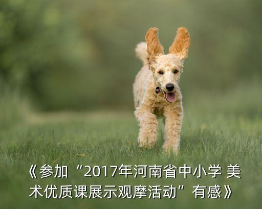 《參加“2017年河南省中小學(xué) 美術(shù)優(yōu)質(zhì)課展示觀摩活動”有感》