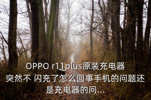 OPPO r11plus原裝充電器突然不 閃充了怎么回事手機的問題還是充電器的問...