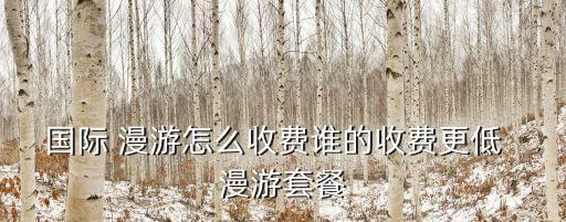 國際 漫游怎么收費誰的收費更低  漫游套餐