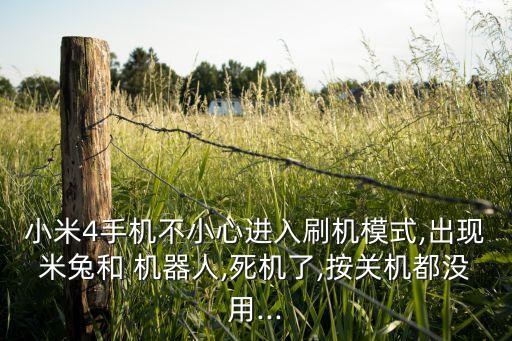 小米4手機(jī)不小心進(jìn)入刷機(jī)模式,出現(xiàn)米兔和 機(jī)器人,死機(jī)了,按關(guān)機(jī)都沒用...