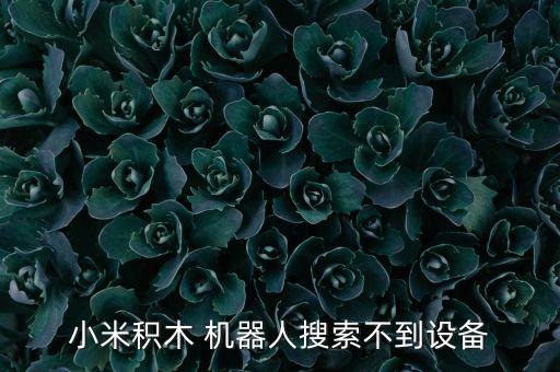 小米積木 機器人搜索不到設備