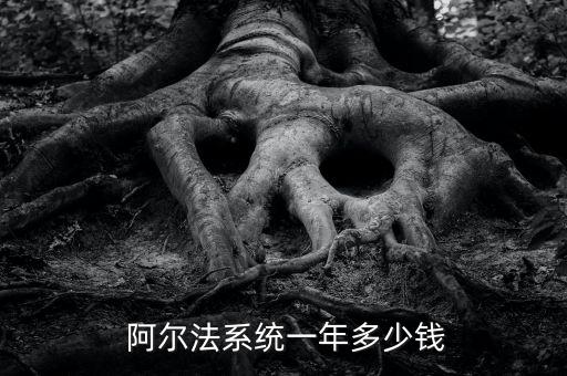  阿爾法系統(tǒng)一年多少錢