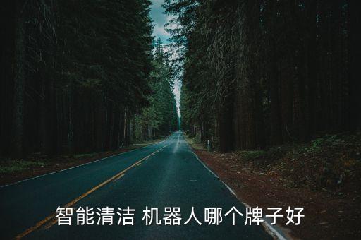 智能清潔 機器人哪個牌子好