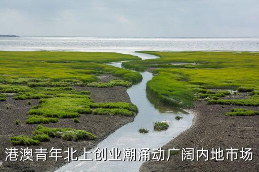 松山湖機(jī)器人產(chǎn)業(yè)基地