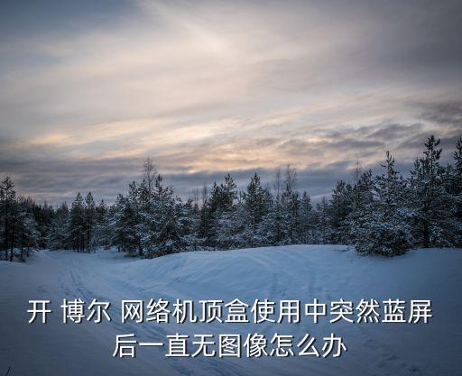 開 博爾 網(wǎng)絡機頂盒使用中突然藍屏后一直無圖像怎么辦