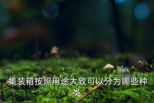  集裝箱按照用途大致可以分為哪些種類