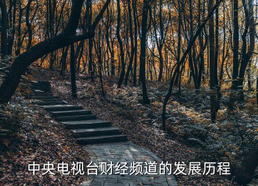 中央電視臺財經(jīng)頻道的發(fā)展歷程