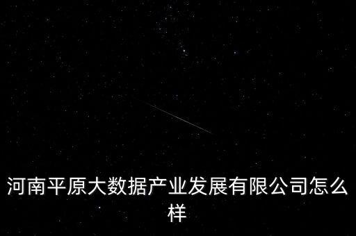 河南平原大數(shù)據(jù)產(chǎn)業(yè)發(fā)展有限公司怎么樣