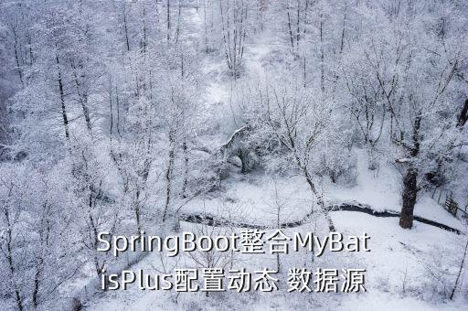 數(shù)據(jù)源模式,圖表數(shù)據(jù)源怎么設(shè)置