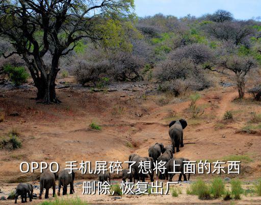 OPPO 手機屏碎了想將上面的東西刪除, 恢復出廠