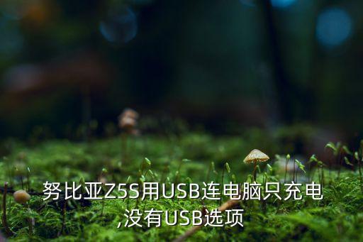 努比亞z5s數(shù)據(jù)接口圖解