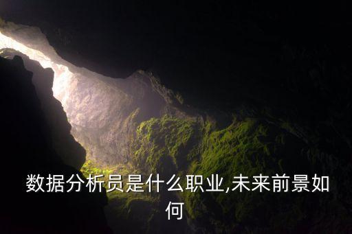  數(shù)據(jù)分析員是什么職業(yè),未來前景如何