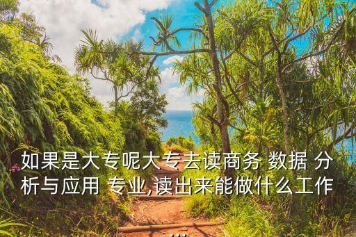 如果是大專呢大專去讀商務(wù) 數(shù)據(jù) 分析與應(yīng)用 專業(yè),讀出來(lái)能做什么工作...