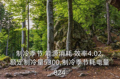 制冷季節(jié) 能源消耗 效率4.02,額定制冷量5300,制冷季節(jié)耗電量824