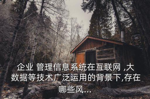  企業(yè) 管理信息系統(tǒng)在互聯(lián)網 ,大 數(shù)據(jù)等技術廣泛運用的背景下,存在哪些風...