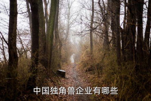 中國(guó)獨(dú)角獸企業(yè)有哪些