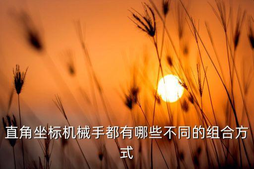 三軸機器人是指