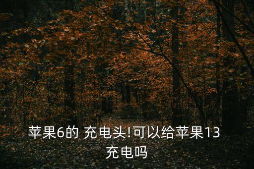 蘋果6的 充電頭!可以給蘋果13 充電嗎