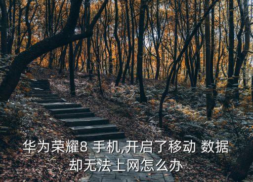 華為榮耀8 手機(jī),開(kāi)啟了移動(dòng) 數(shù)據(jù)卻無(wú)法上網(wǎng)怎么辦