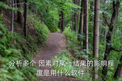  分析多個(gè) 因素對(duì)某一結(jié)果的影響程度是用什么軟件