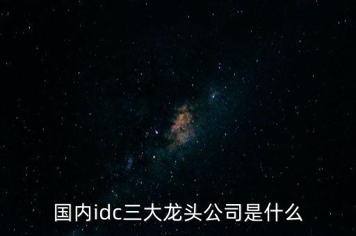 國內(nèi)idc三大龍頭公司是什么