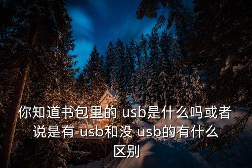 你知道書包里的 usb是什么嗎或者說是有 usb和沒 usb的有什么區(qū)別
