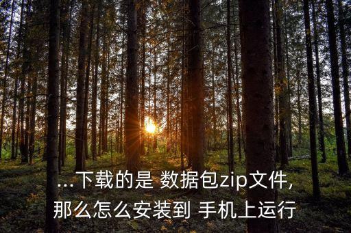 ...下載的是 數(shù)據(jù)包zip文件,那么怎么安裝到 手機(jī)上運(yùn)行
