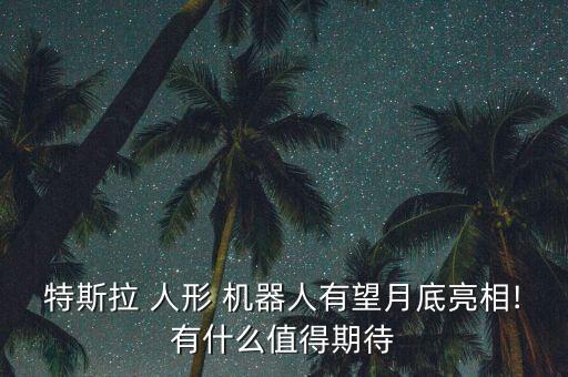 特斯拉 人形 機器人有望月底亮相!有什么值得期待
