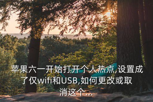  蘋果六一開始打開個人熱點,設(shè)置成了僅wifi和USB,如何更改或取消這個...