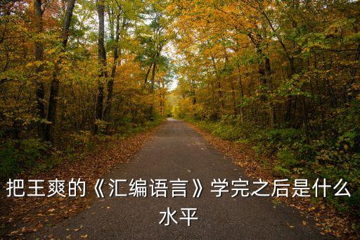 把王爽的《匯編語言》學(xué)完之后是什么水平