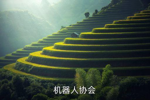 ai機器人協(xié)會