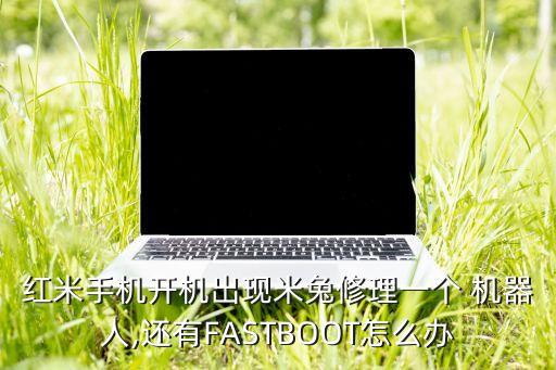 米兔機(jī)器人裝好不走