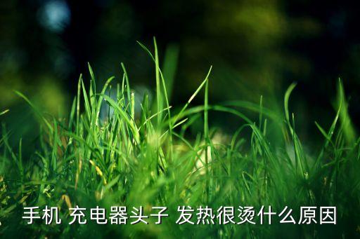 手機(jī) 充電器頭子 發(fā)熱很燙什么原因