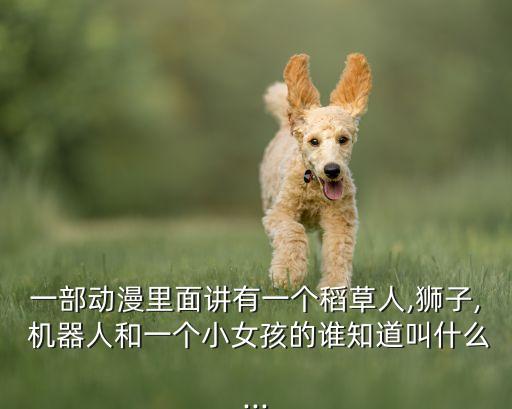 一部動(dòng)漫里面講有一個(gè)稻草人,獅子, 機(jī)器人和一個(gè)小女孩的誰(shuí)知道叫什么...
